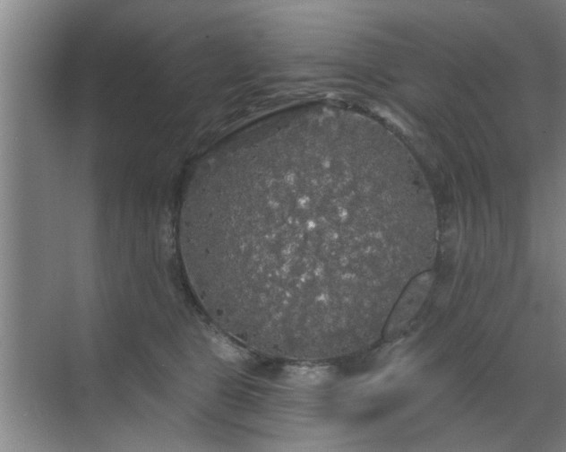 X0000070340469200606161255