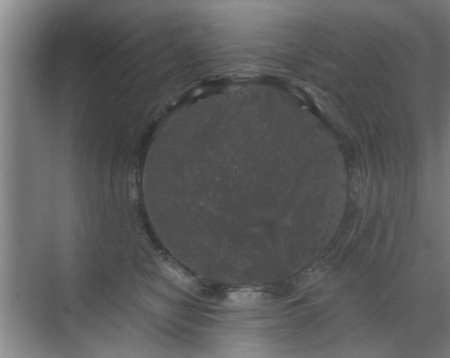 X0000070340470200606161255