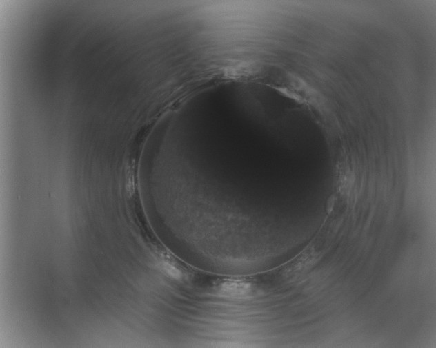 X0000070340471200606161255