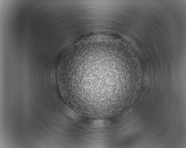 X0000070340473200606161255