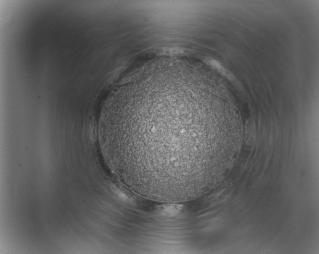 X0000070340474200606161255