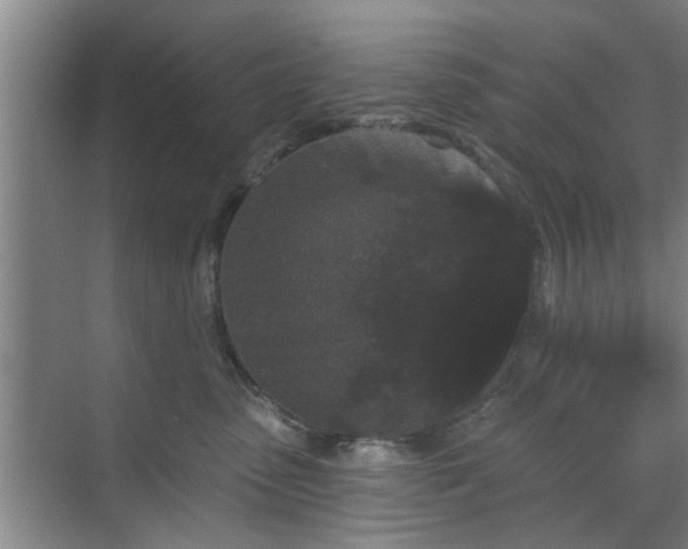 X0000070340475200606161255