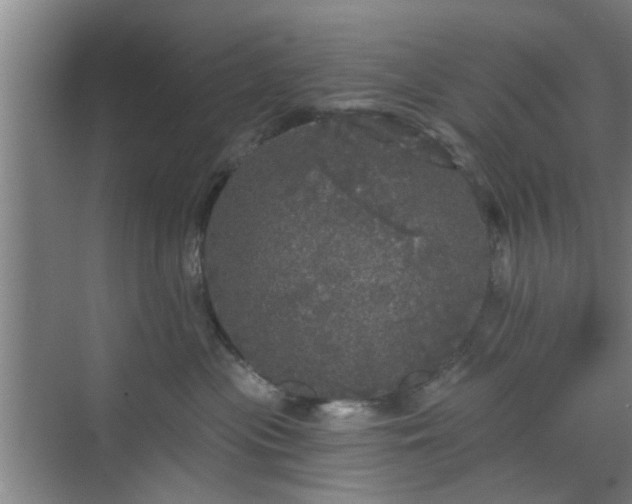 X0000070340477200606161255