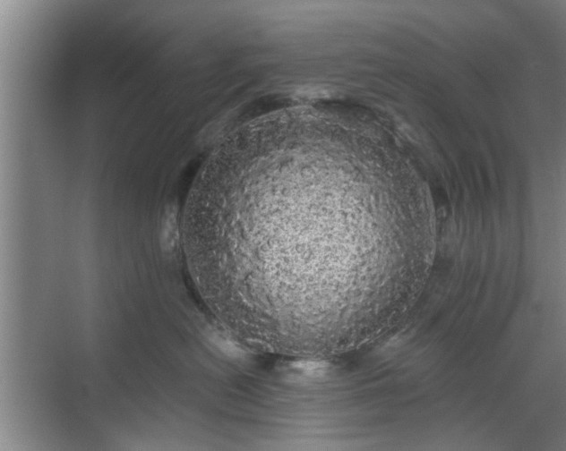 X0000070340478200606161255