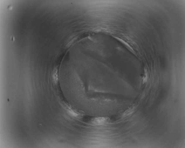 X0000070340479200606161255