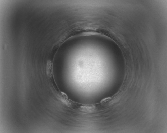 X0000070340480200606161255