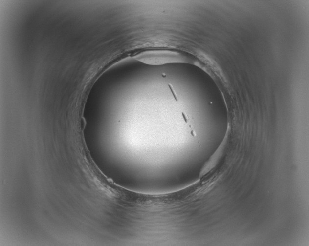 X0000070340481200606161254