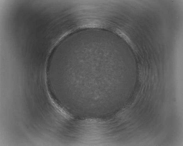 X0000070340482200606161254