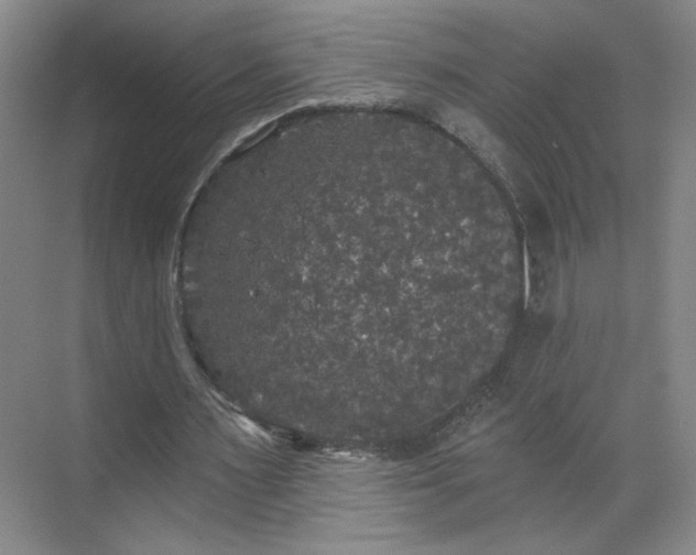 X0000070340483200606161254