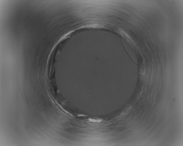 X0000070340484200606161254