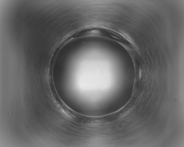 X0000070340485200606161254