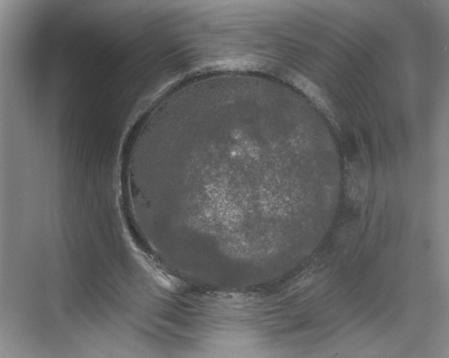 X0000070340486200606161254