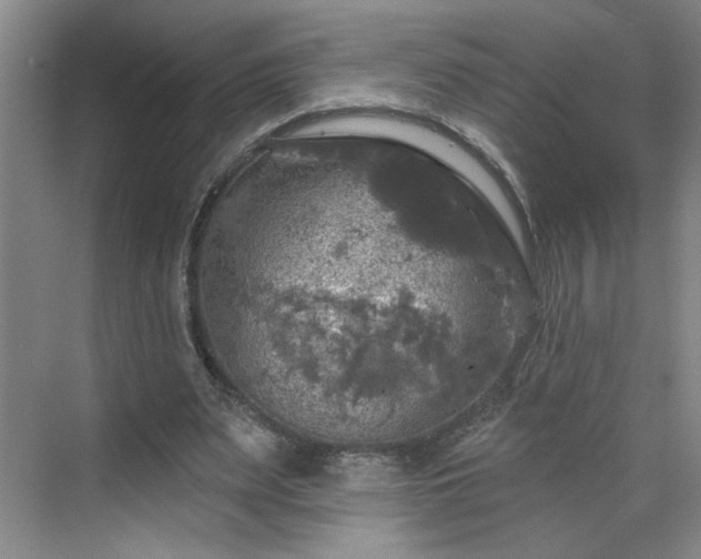 X0000070340487200606161254