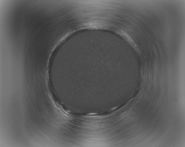 X0000070340488200606161254