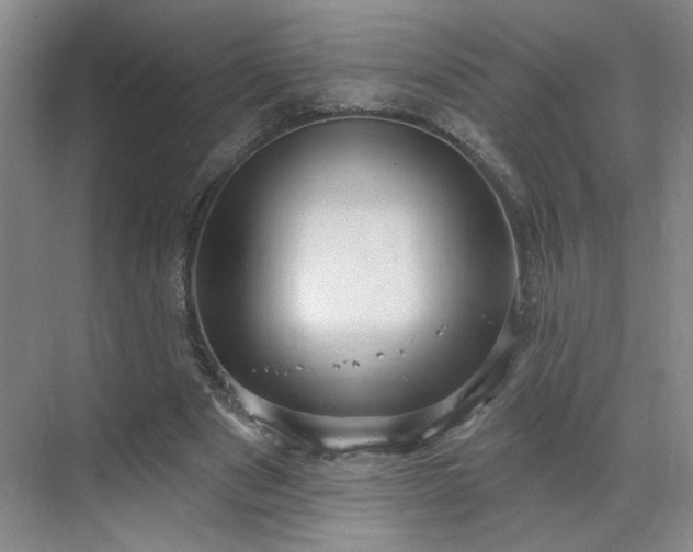 X0000070340489200606161254