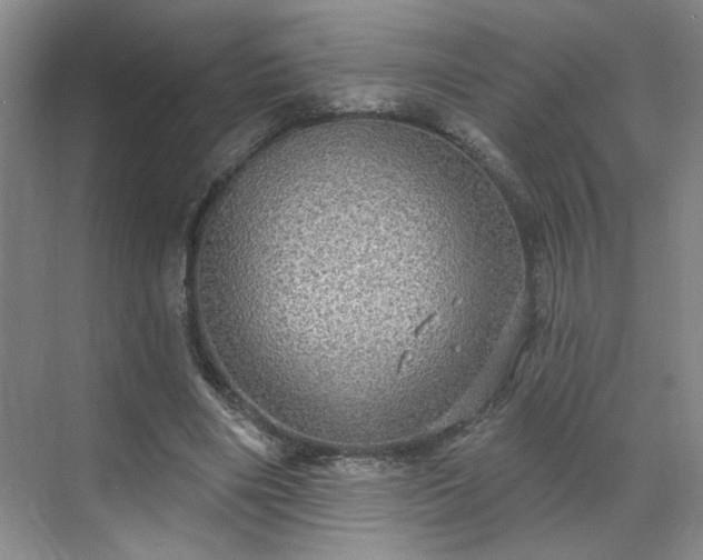 X0000070340490200606161254