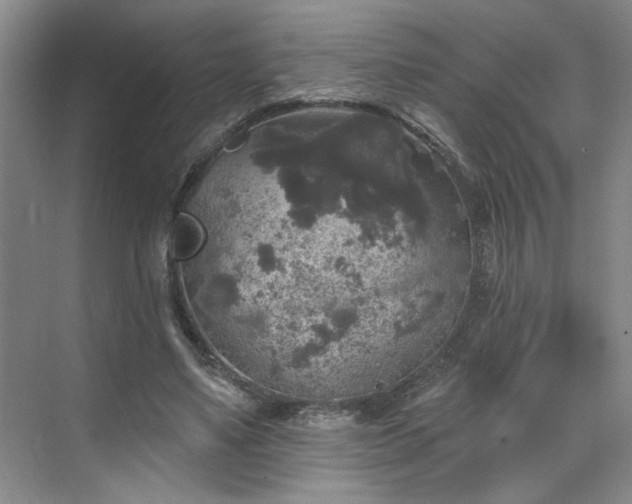 X0000070340491200606161254