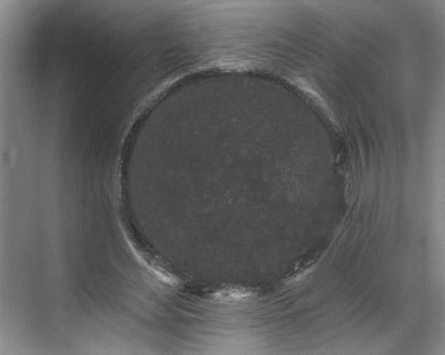 X0000070340492200606161254