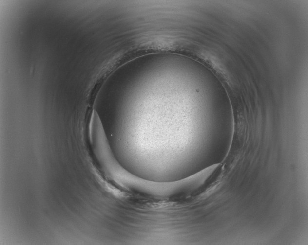 X0000070340493200606161254