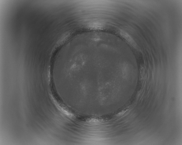 X0000070340494200606161254