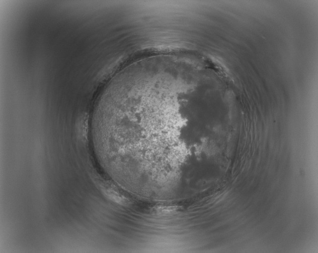 X0000070340495200606161254