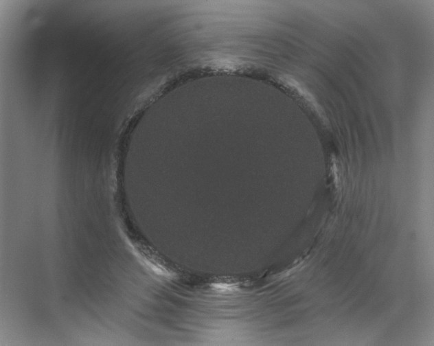 X0000070340496200606161254