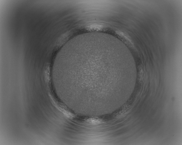 X0000070340498200606161254