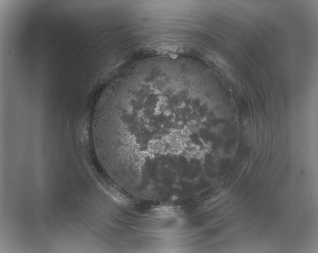 X0000070340499200606161254