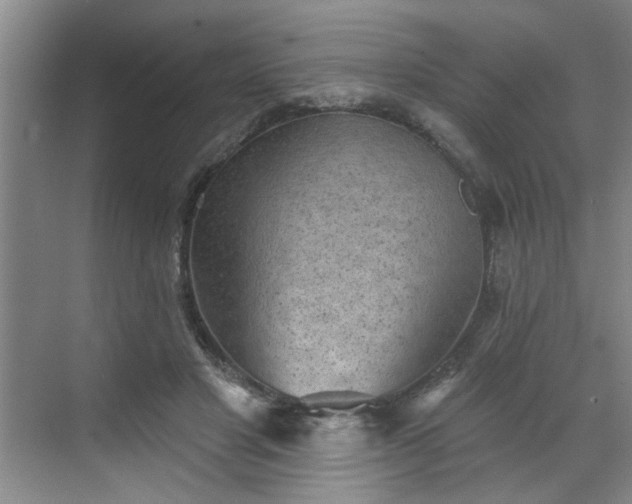 X0000070340501200606161254