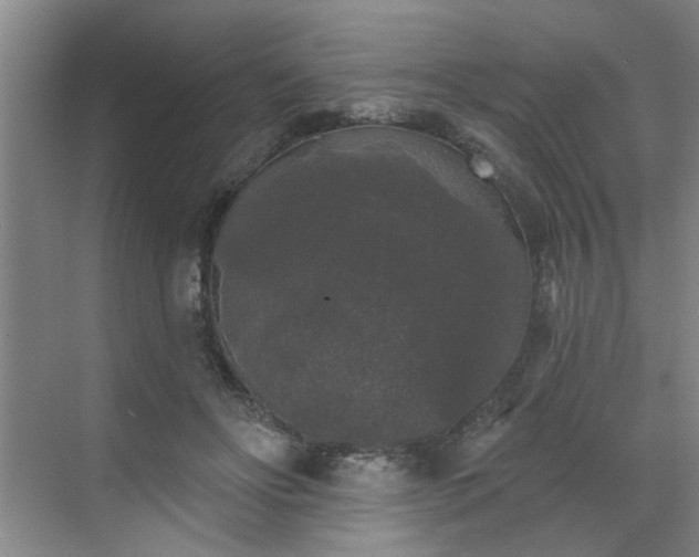 X0000070340502200606161254