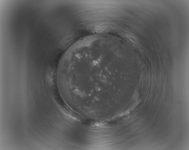 X0000070340503200606161254