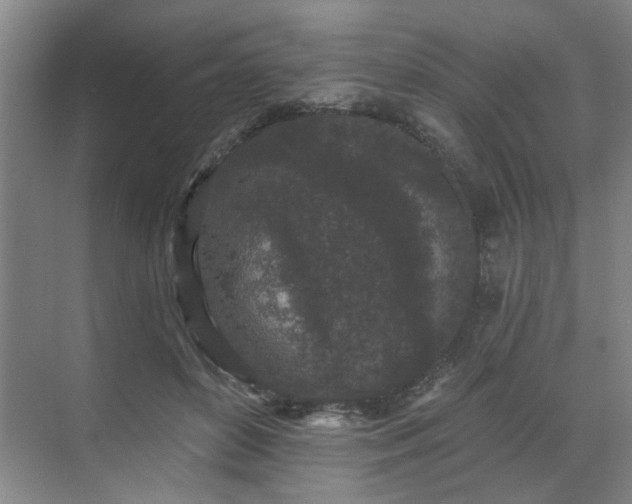 X0000070340504200606161254