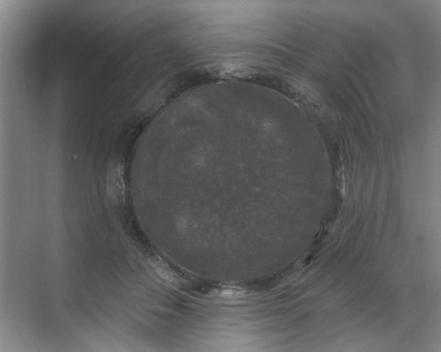 X0000070340506200606161254