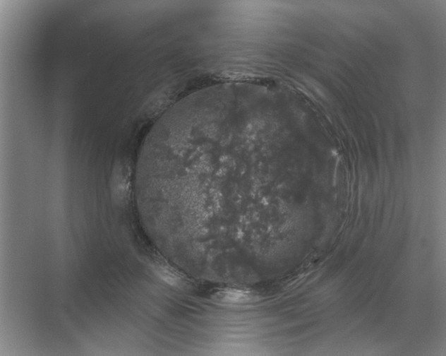 X0000070340507200606161254