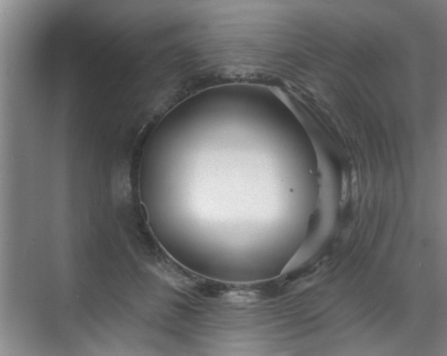 X0000070340508200606161254