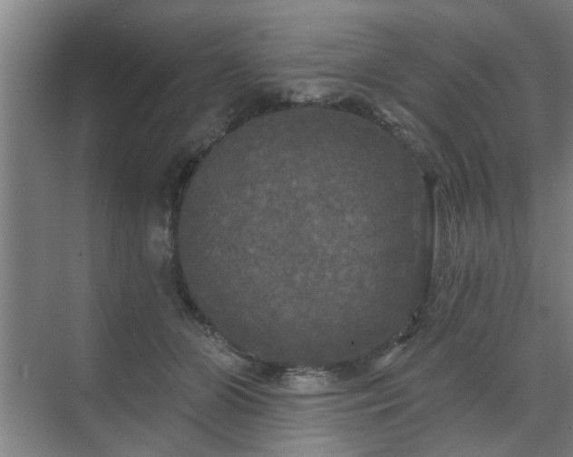 X0000070340510200606161254