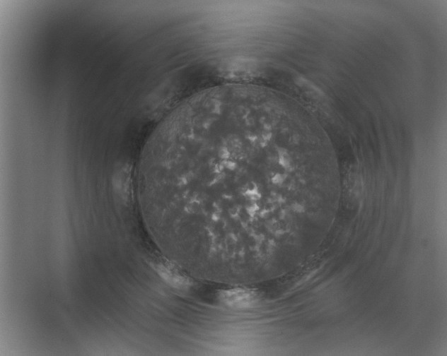 X0000070340511200606161254