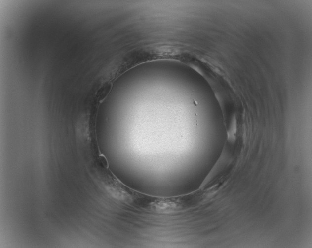 X0000070340512200606161254