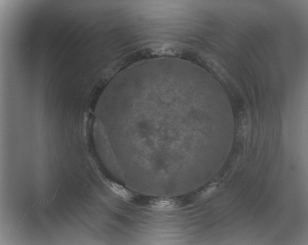 X0000070340513200606161254