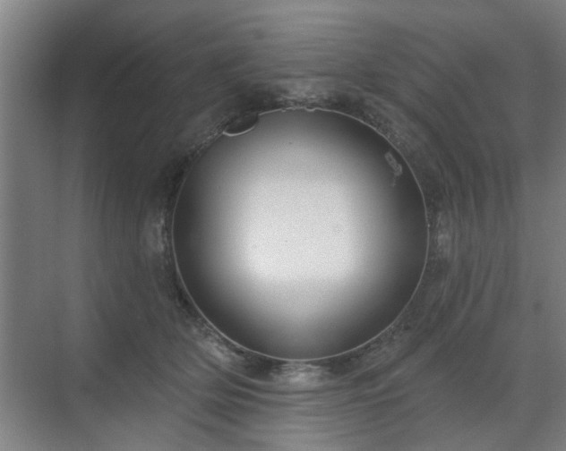 X0000070340514200606161254