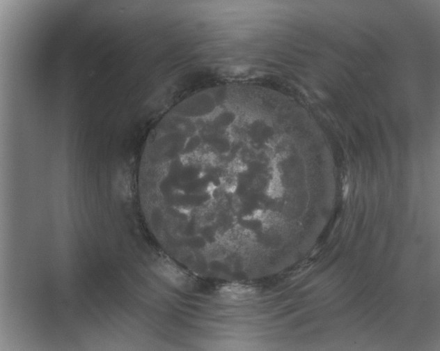 X0000070340515200606161254