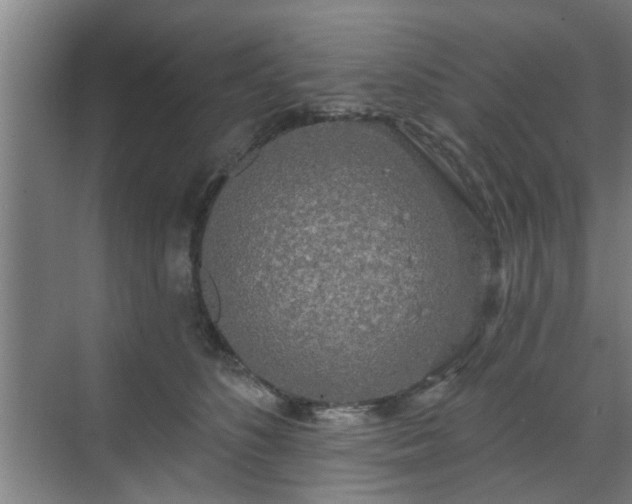 X0000070340516200606161254