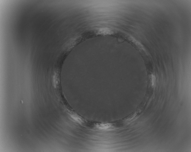 X0000070340517200606161254