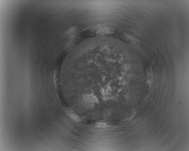 X0000070340519200606161254