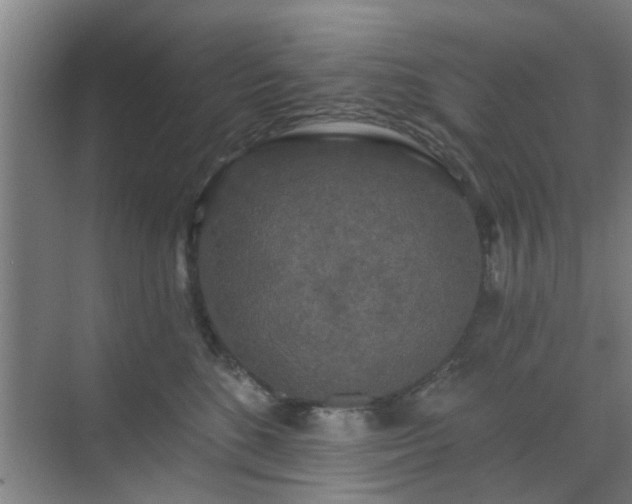 X0000070340520200606161254