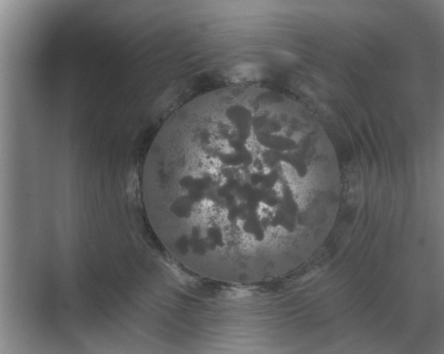 X0000070340523200606161254