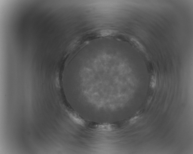 X0000070340524200606161254