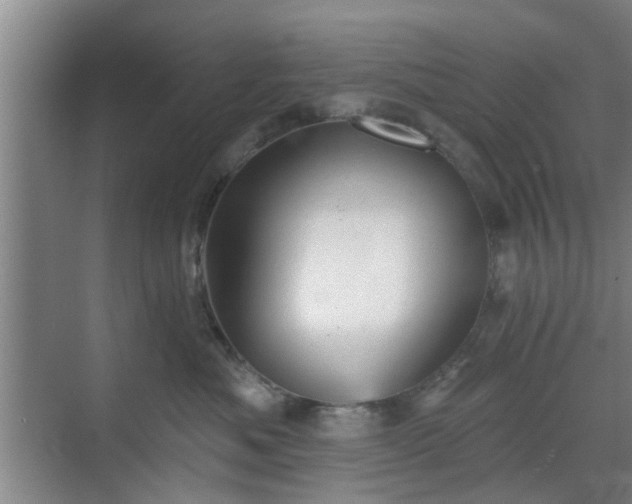 X0000070340525200606161254