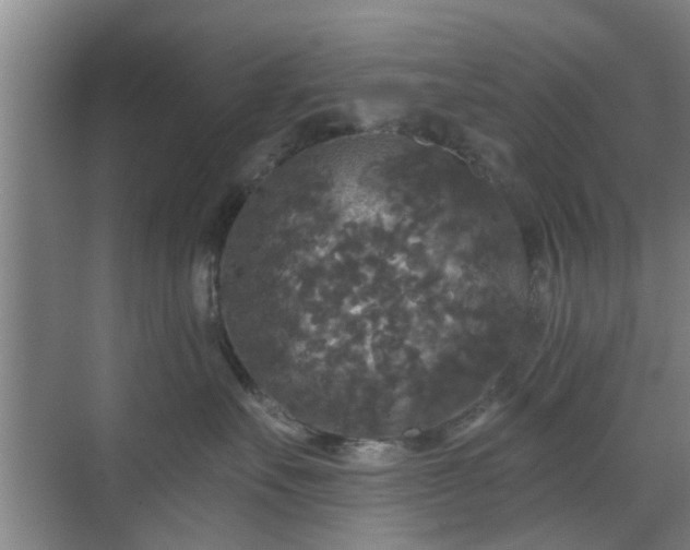 X0000070340527200606161254