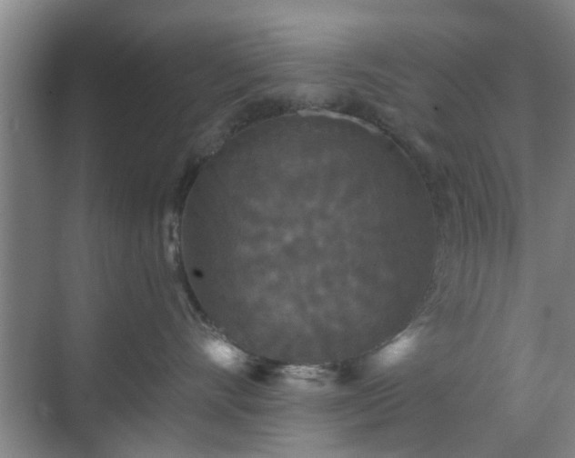 X0000070340528200606161254